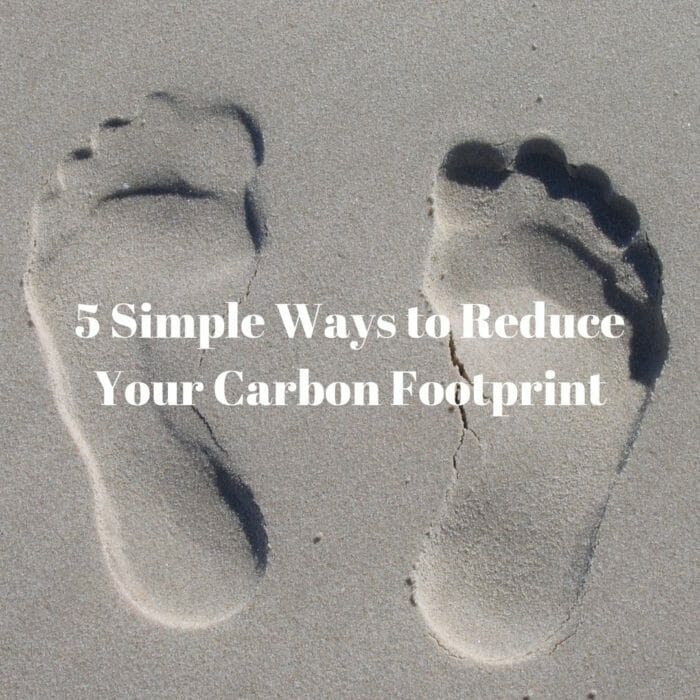 5 Easy Ways to Reduce Your Carbon Footprint