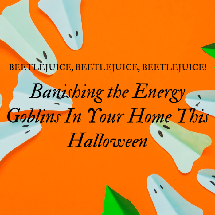 Beetlejuice, Beetlejuice, Beetlejuice! Banishing the Energy Goblins From Your Home This Halloween