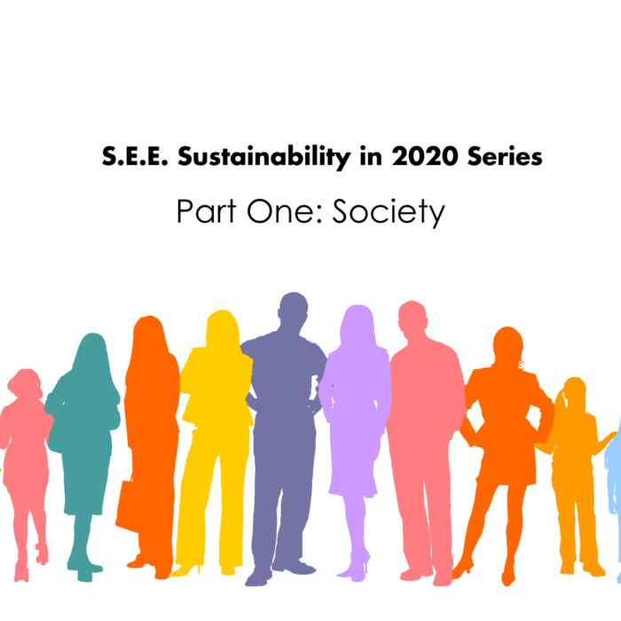 S.E.E. Sustainability in 2020: Society