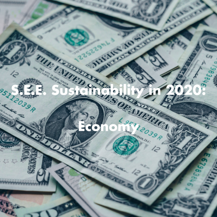 S.E.E. Sustainability in 2020: Economy