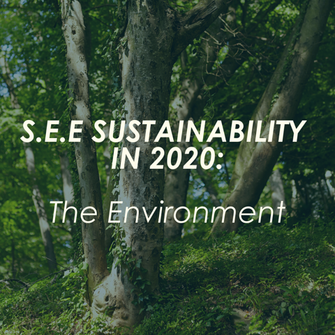 S.E.E Sustainably – The Environment