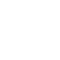 Arch Electric - Wisconsin Solar Installation Experts - Tesla Logo