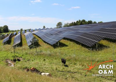 7 Spring Solar Maintenance Tips for Peak Summer Production