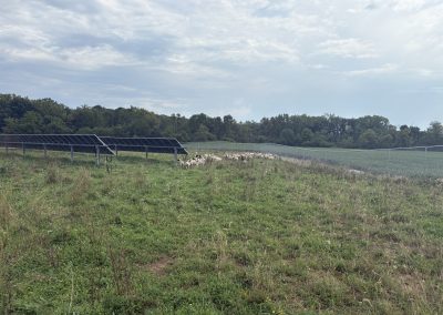 Designing Dual-use Solar Projects for Maximum Impact