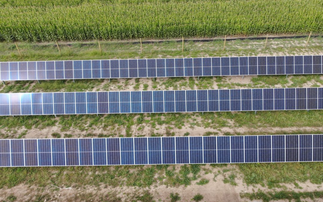 Witnesses Testify in Support of Wisconsin Community Solar Bill